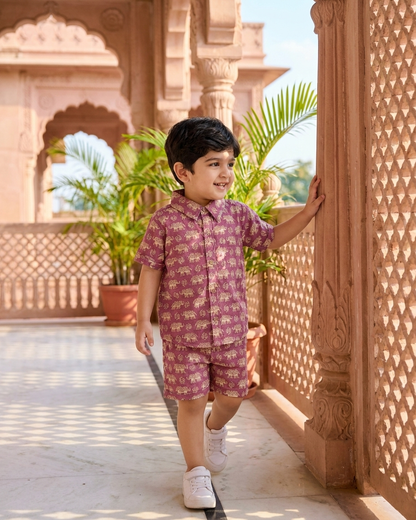 Royal Mauve Elephant Motif Boys' Cotton Co-ord Set: Shirt & Shorts