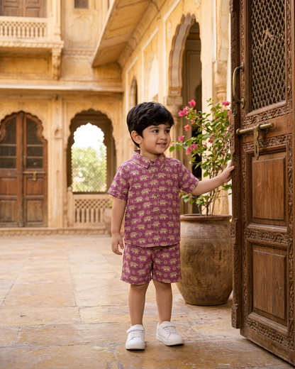 Royal Mauve Elephant Motif Boys' Cotton Co-ord Set: Shirt & Shorts